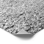 アムエンデ鳥は腸セインを全て取り除く ポスター (角)