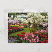 アムスターの南、リッセのケウケンホフ庭園 ポストカード (正面/裏面)