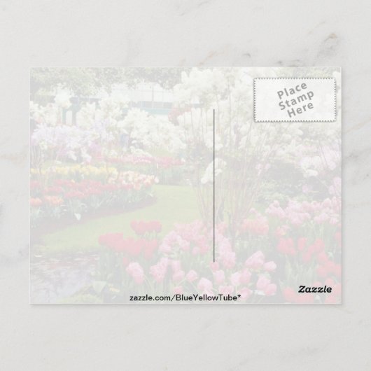 アムスターの南、リッセのケウケンホフ庭園 ポストカード (裏面)