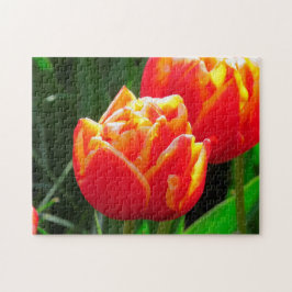 アムステルダムからチューリップ。 ジグソーパズル