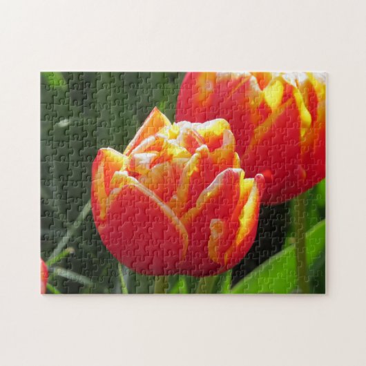 アムステルダムからチューリップ。 ジグソーパズル (横)