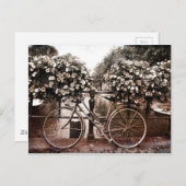 アムステルダムでのみ ポストカード (正面/裏面)