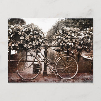 アムステルダムでのみ ポストカード