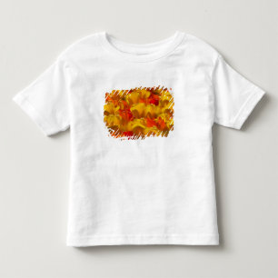 アムステルダムのキュッケンホフ庭園のチューリップ 2 トドラーTシャツ