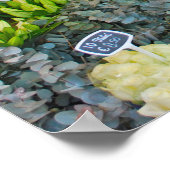 アムステルダムのチューリップ&フラワーマーケット ポスター (角)