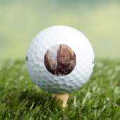 アムステルダムのユダヤ人地区(ヴィンテージシティシーン) ゴルフボール (インサイチュ 木)