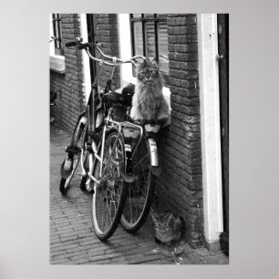 アムステルダムの猫と自転車の黒白の写真 ポスター