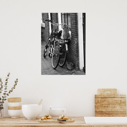 アムステルダムの猫と自転車の黒白の写真 ポスター (キッチン)