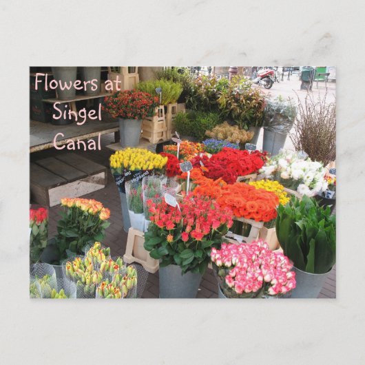 アムステルダムの花 ポストカード (正面)