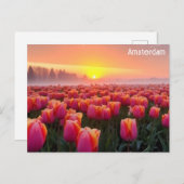 アムステルダムオランダオランダチューリップトラベルフォト ポストカード (正面/裏面)