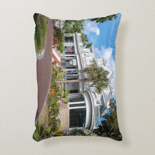 アムステルダムズカレーマンションイン アクセントクッション (正面(垂直))