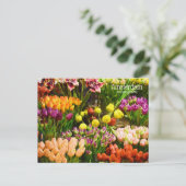 アムステルダムフラワーマーケット ポストカード (スタンド正面)