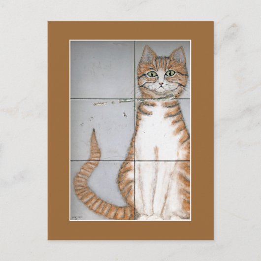 アムステルダム猫はがき ポストカード (正面)