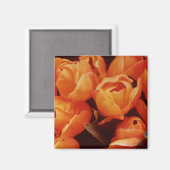 アムステルダム通り市場 マグネット (正面/裏面)