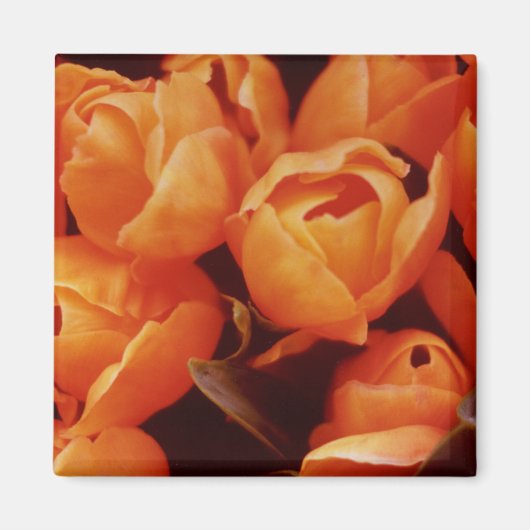 アムステルダム通り市場 マグネット (正面)