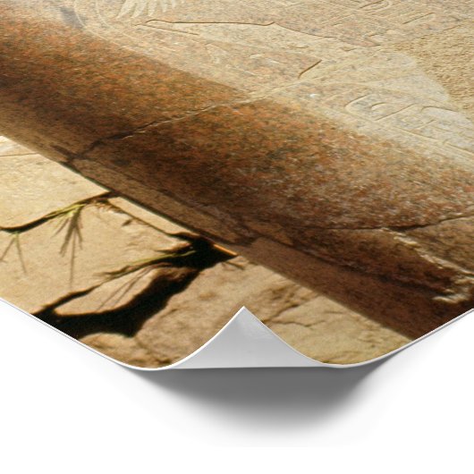 アムン寺院の聖なるスカラブの像 ポスター (角)