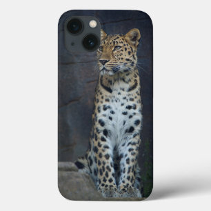 アムールのヒョウのiPhone6ケース iPhone 13ケース