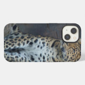 アムールのヒョウのiPhone6ケース iPhoneケース (裏面横)