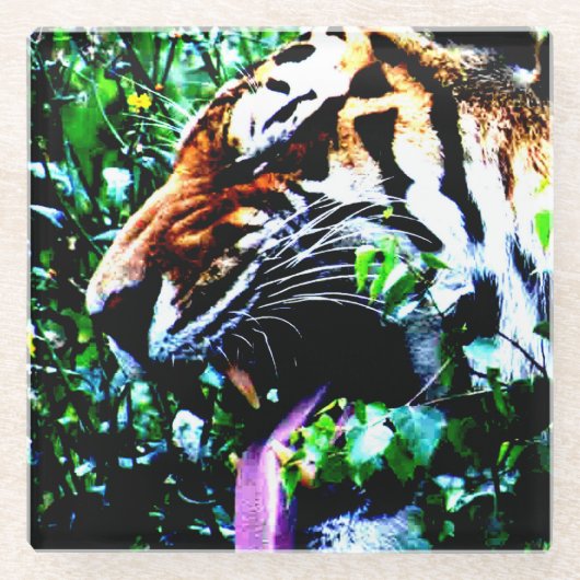 アムールタイガーのコースタクナ ガラスコースター (正面)