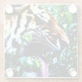 アムールタイガーのコースタクナ ガラスコースター (裏面)