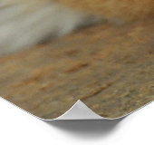 アムールタイガーカッブ ポスター (角)