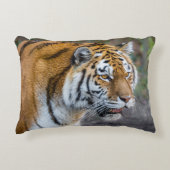 アムールタイガー アクセントクッション (正面)