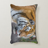 アムールタイガー アクセントクッション (正面(垂直))