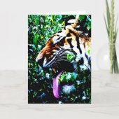 アムールタイガー カード (正面)