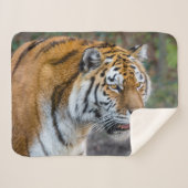 アムールタイガー シェルパブランケット (正面(横))