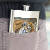 アムールタイガー フラスク (インサイチュ)