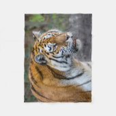 アムールタイガー フリースブランケット (正面)