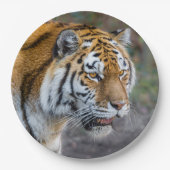 アムールタイガー ペーパープレート (正面)
