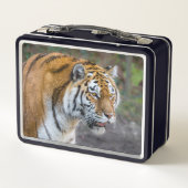 アムールタイガー メタルランチボックス (裏面)