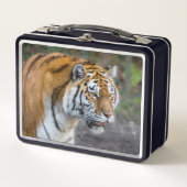 アムールタイガー メタルランチボックス (正面)