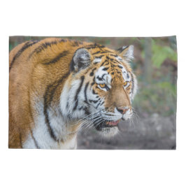 アムールタイガー 枕カバー