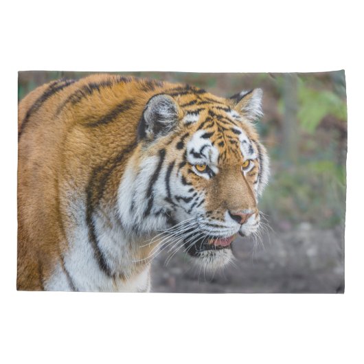 アムールタイガー 枕カバー (裏面)