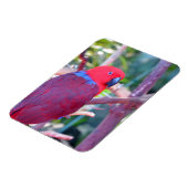 アメカラフルトマグネット マグネット (左側)