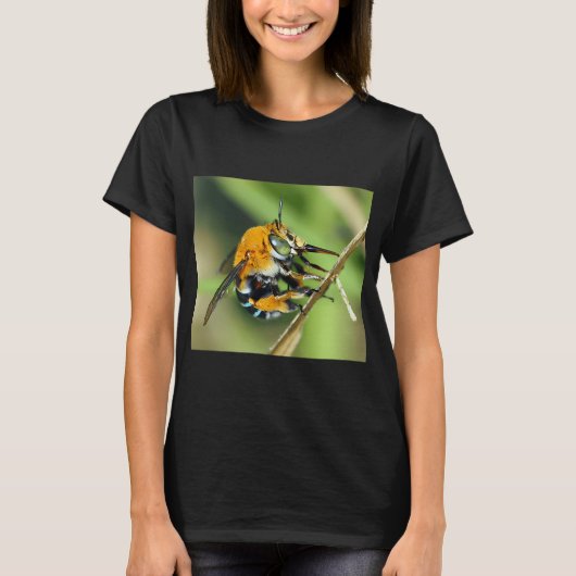 アメギラ・シンギュラタ Tシャツ (正面)