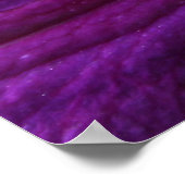 アメジストクレマティス ポスター (角)