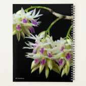 アメジストグロスム プランナー手帳 (裏面)