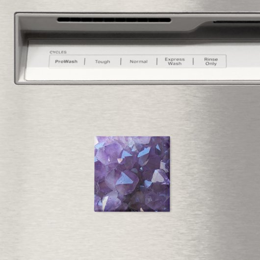 アメジスト マグネット (インサイチュ (食洗機))
