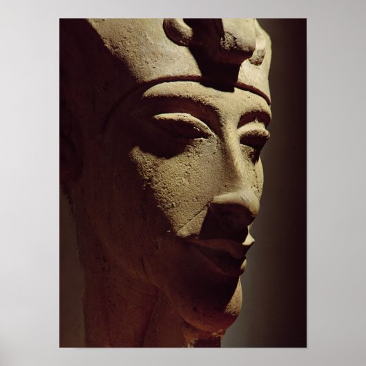 アメノピス4世 ポスター (正面)