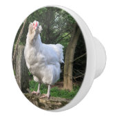 アメラウカナの雪 – キッチンノ離れブプル セラミックノブ (右)