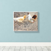 アメラウカナス キャンバスプリント (インサイチュ (ウッドフロア))