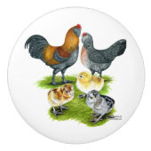 アメラウカナチキンファミリー セラミックノブ (正面)