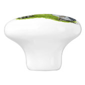 アメラウカナチキンファミリー セラミックノブ (側面)