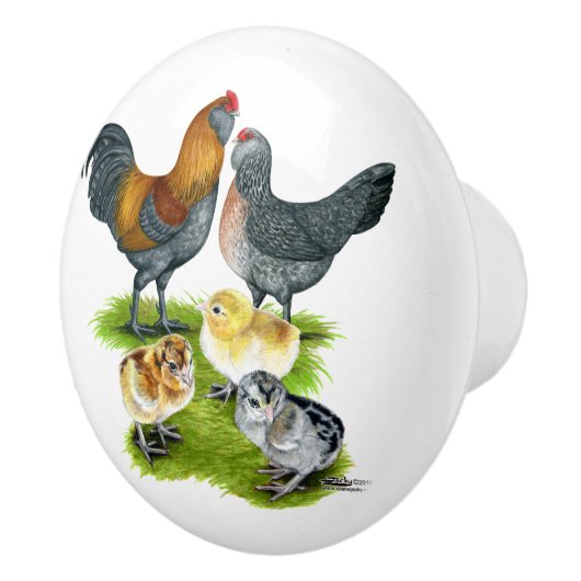 アメラウカナチキンファミリー セラミックノブ (右)