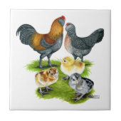 アメラウカナチキンファミリー タイル (正面)