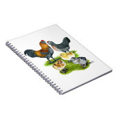 アメラウカナチキンファミリー ノートブック (右側)