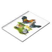 アメラウカナチキンファミリー ノートブック (左側)